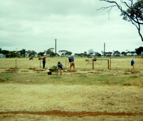 Planting Trees - 1986