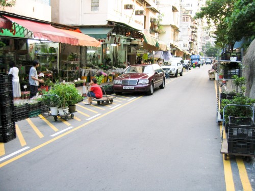 Flower Markets - Hong Kong