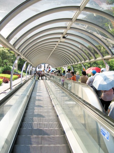 Escalators at Hong Kong Ocean Park