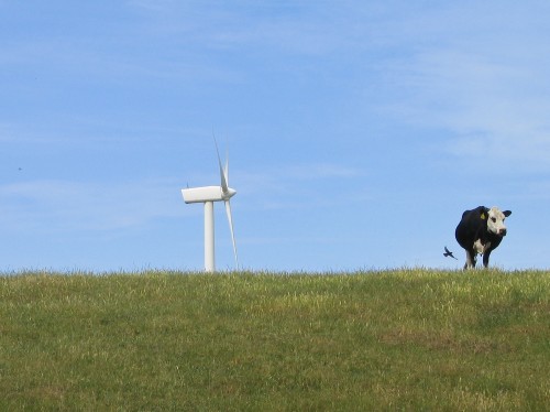 Toora Wind Farm - 2003