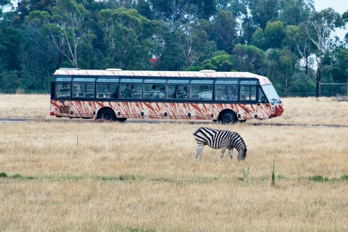 Werribee Open Range Zoo