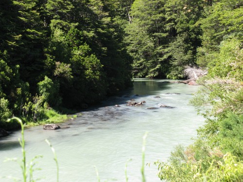 Blest Creek - fast flowing and green in colour from Lago Frias