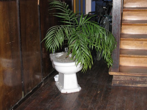 Casa Margouya - interesting use for a bidet