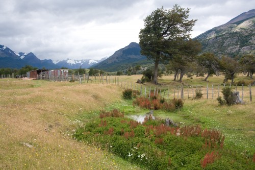 Cruise to Parque Nacional Bernado O?Higgins - Puerto Natales, Chile