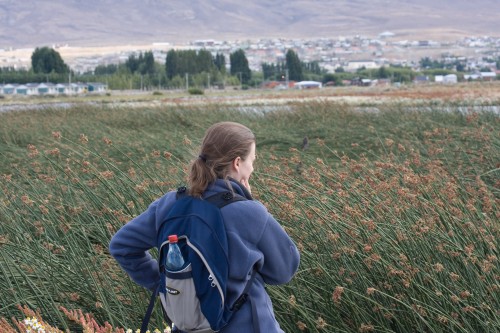 Laguna N?mez Reserve and Bird Sanctuary - El Calafate, Argentina