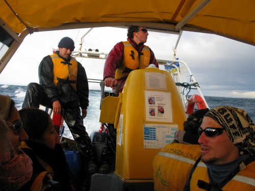 Zodiac ride to Magdalena Island, near Punta Arenas, Chile