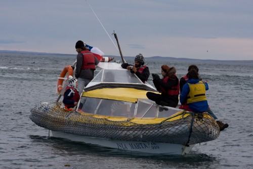 Zodiac off Marta Island, near Punta Arenas, Chile