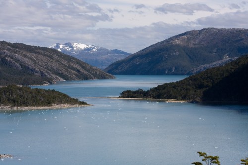 Pia Glacier - Cruceros Australis