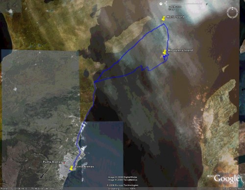 Magdalena Island - satellite view