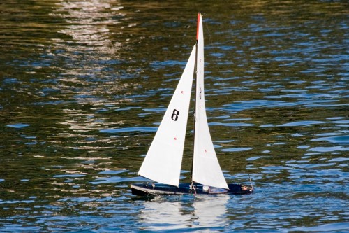 Remote-controlled Yacht - Middle Harbour