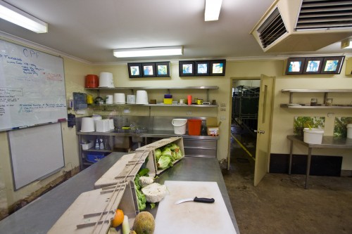 Adelaide Zoo - food preparation area