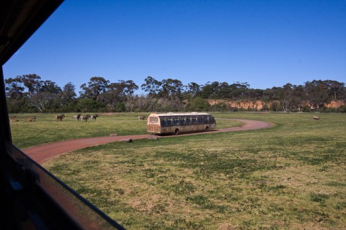 Werribee Open Range Zoo