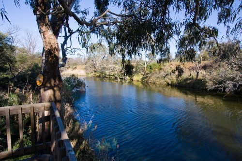 Wetlands Wirribi Yaluk Walk - Werribee Open Range Zoo