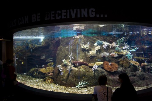 Melbourne Aquarium