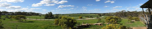 Cheetah enclosure panorama - Monarto Zoo