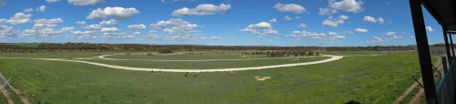 Lion enclosure panorama - Monarto Zoo